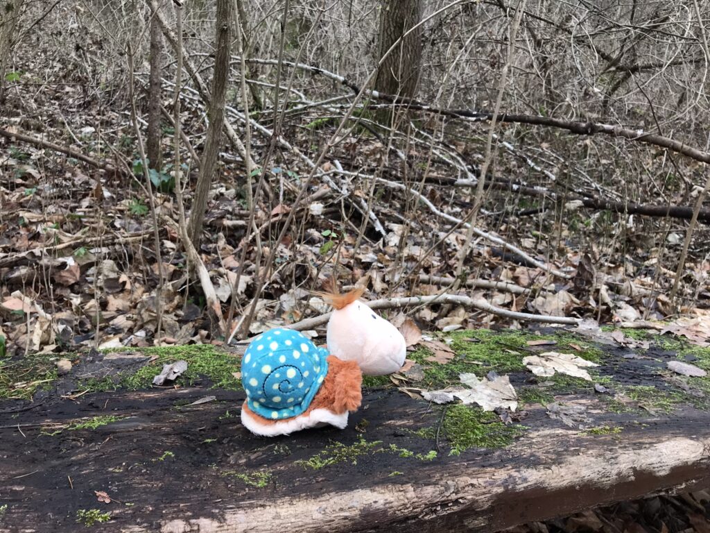 Finnea - kleine Plüschschnecke auf Bank