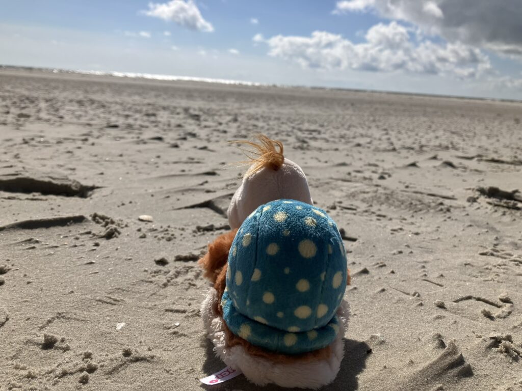 kleine Schnecke am Strand