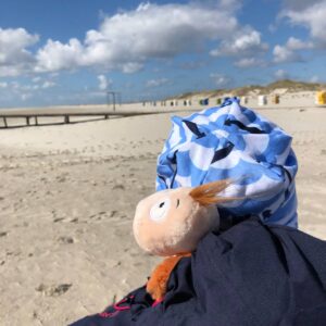 Finnea sitzt am Strand vor Dünen unter blauem Himmel.