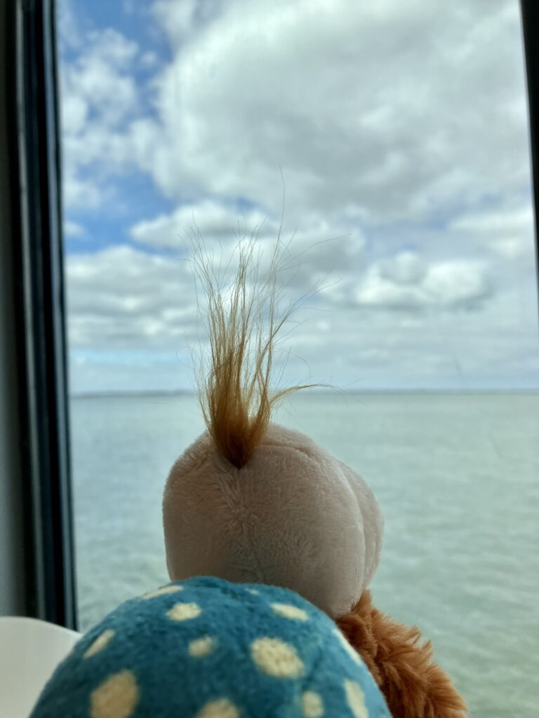 Kleine Stoffschnecke schaut aus dem Fenster auf das Meer und den Himmel – Symbol für Ruhe und langsames Wahrnehmen