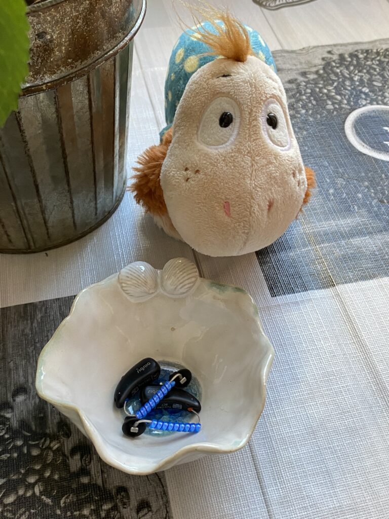 Hörpause mit System Kuschelige Hörschnecke sitzt neben einer kleinen Schale, in der Hörgeräte mit blauen Haltebändern liegen, auf einem Tisch am Fenster.