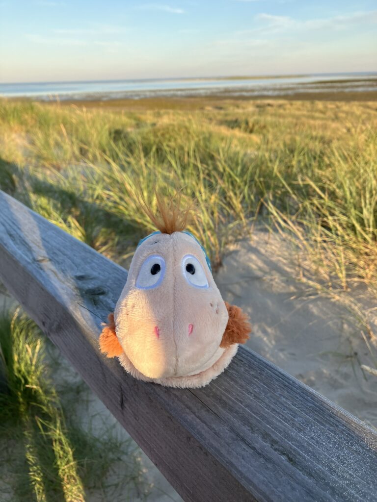Kuscheltier Finnea auf einem Holzgeländer in den Dünen am Meer – ruhiger Moment in der Natur