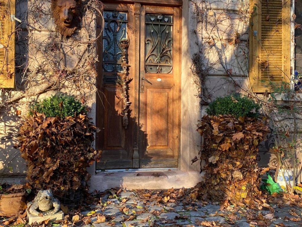 Alte Holztür an einem überwachsenen Haus mit Herbstlaub und Pflanzen vor dem Eingang.