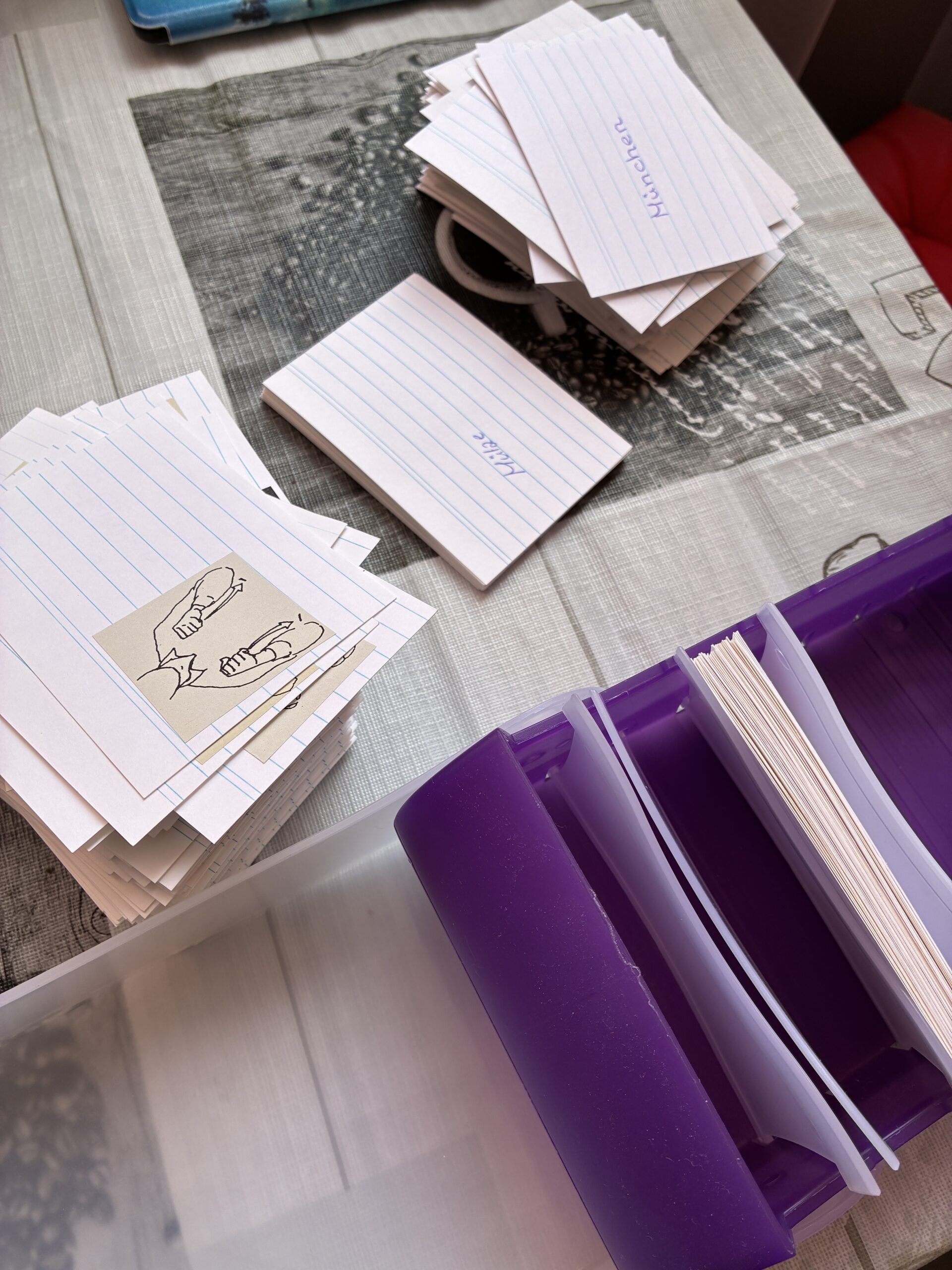 Karteikarten mit Gebärdenzeichnungen liegen auf einem Tisch neben einer geöffneten Karteikartenbox.