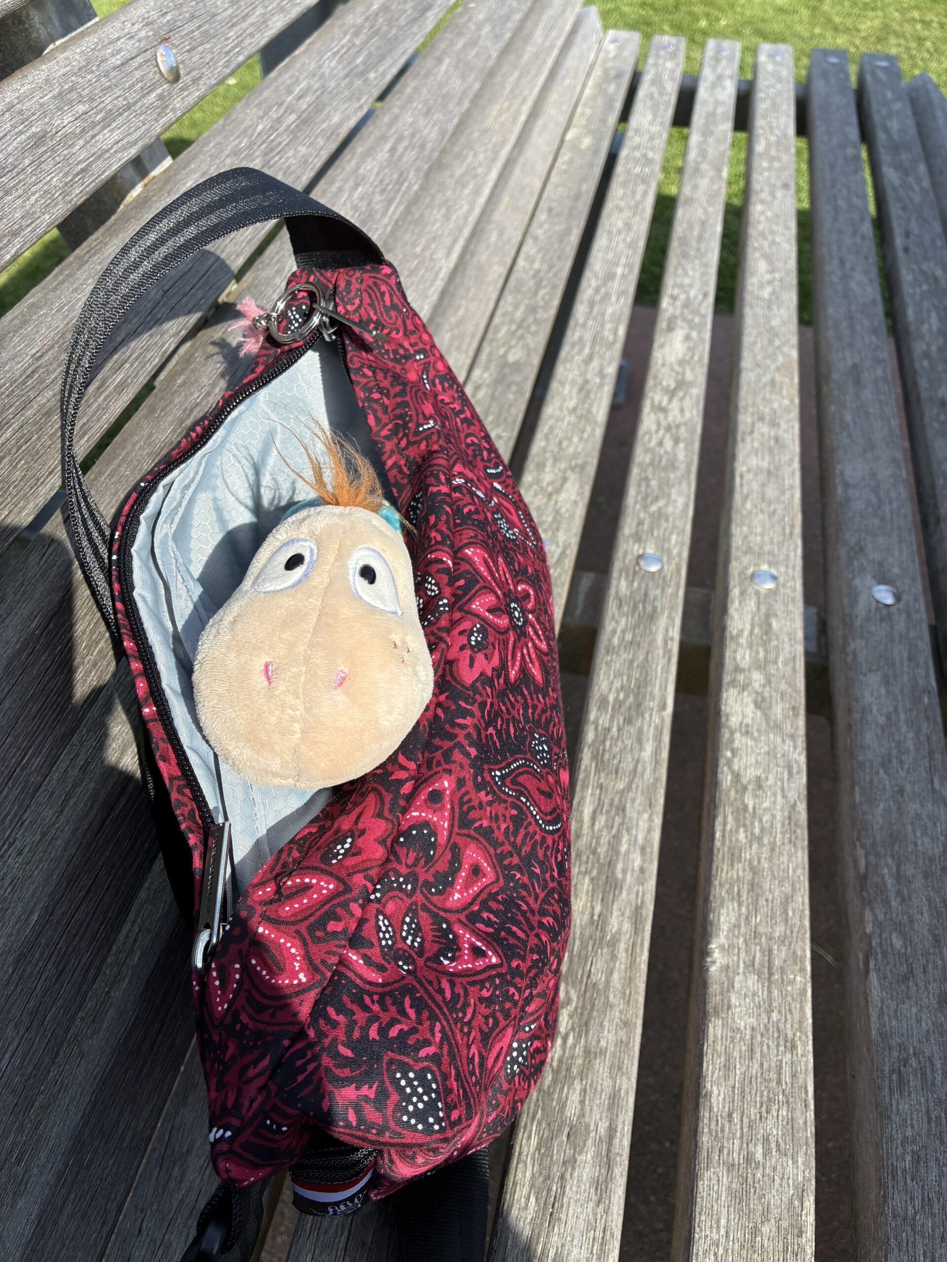 Finnea schaut aus einer geöffneten Tasche, die auf einer Holzbank liegt.