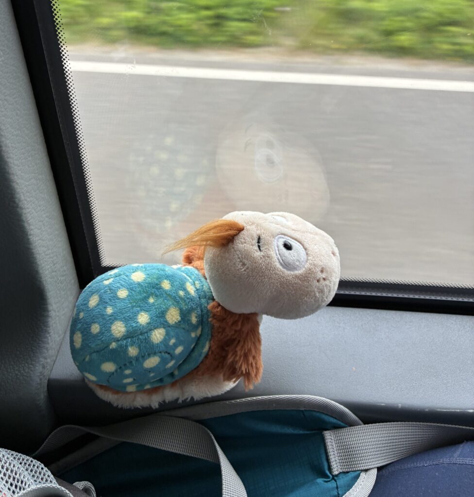 Finnea schaut aus dem Fenster auf die vorbeiziehende Landschaft.